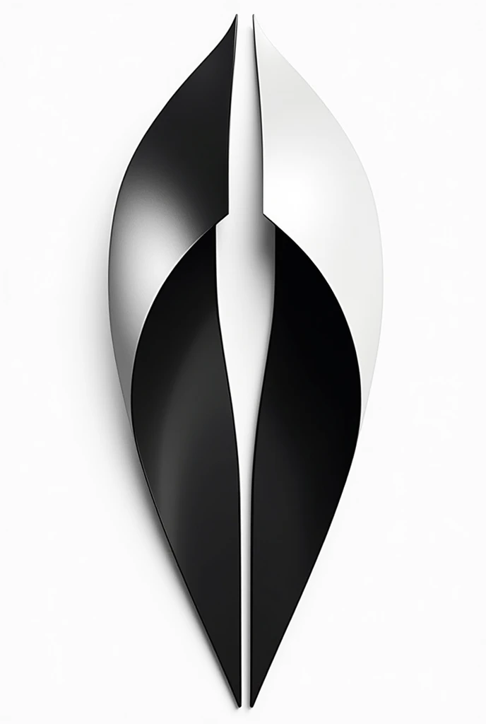 Black and white design