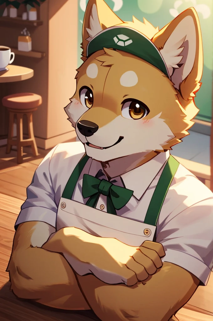 ((close up, upper body POV, bust)), furry, anthro, shiba inu, shiba inu ears, shiba inu tail, ((yellow and white fur)) cute brown eyes, handsome, cute, kawaii, ((wearing a cozy cafe barista outfit)), cozy cafe background, ((best quality, 4K, UHD, masterpiece, SFW)), alone, smiling, arms crossed,