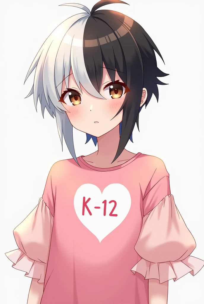 Gender:male Skin:Clear Eyes:brown Style:anime body:tall hair:split in half one side white and the other side black Clothes:a pink shirt with puffy sleeves made of light pink tulle and on the shirt a white heart with the writing "K- 12"