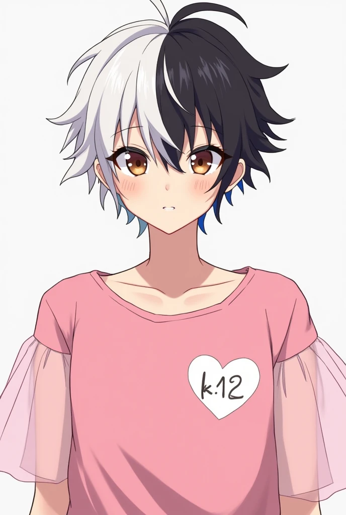 Gender:male Skin:Clear Eyes:brown Style:anime body:tall hair:split in half one side white and the other side black Clothes:a pink shirt with puffy sleeves made of light pink tulle and on the shirt a white heart with the writing "K- 12"
