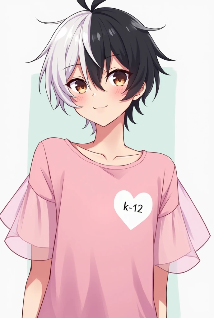 Gender:male Skin:Clear Eyes:brown Style:anime body:tall hair:split in half one side white and the other side black Clothes:a pink shirt with puffy sleeves made of light pink tulle and on the shirt a white heart with the writing "K- 12"