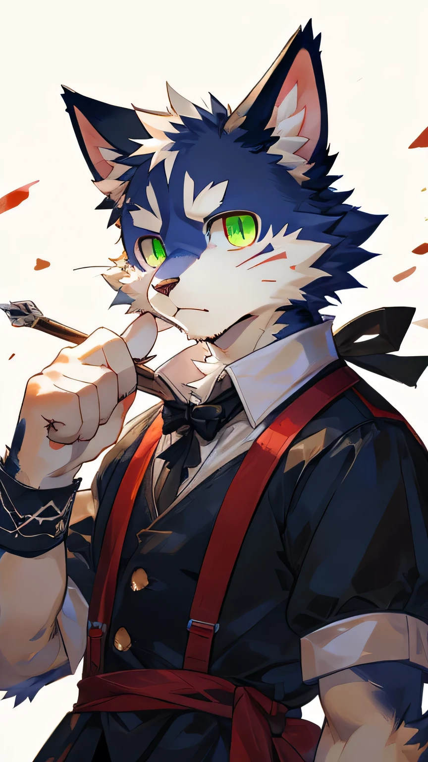 masterpiece，high quality，perfect anatomy，furry，anthro cat，black cat，male， niji5，green pupils，bright eyes，detailed face，by kiyosan，close up face，full body，wear the broken maid outfit，ablush