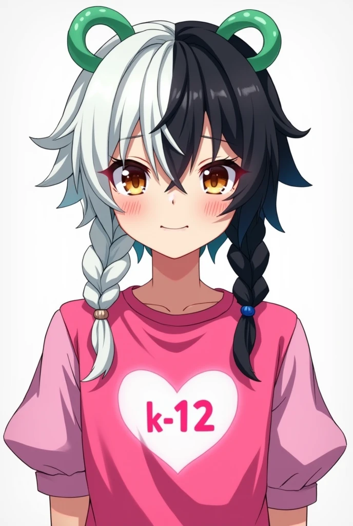 Gender:male Skin:Clear Eyes:Brown Hair:hair parted in the middle with one side black and one side white, in addition a braid on each side with the respective color of the hair side, at the beginning of the braid there is a green-water colored loop Body:high Clothes:a hot pink shirt with light pink puff sleeves and a white heart in the middle of the shirt with the writing "K- 12"