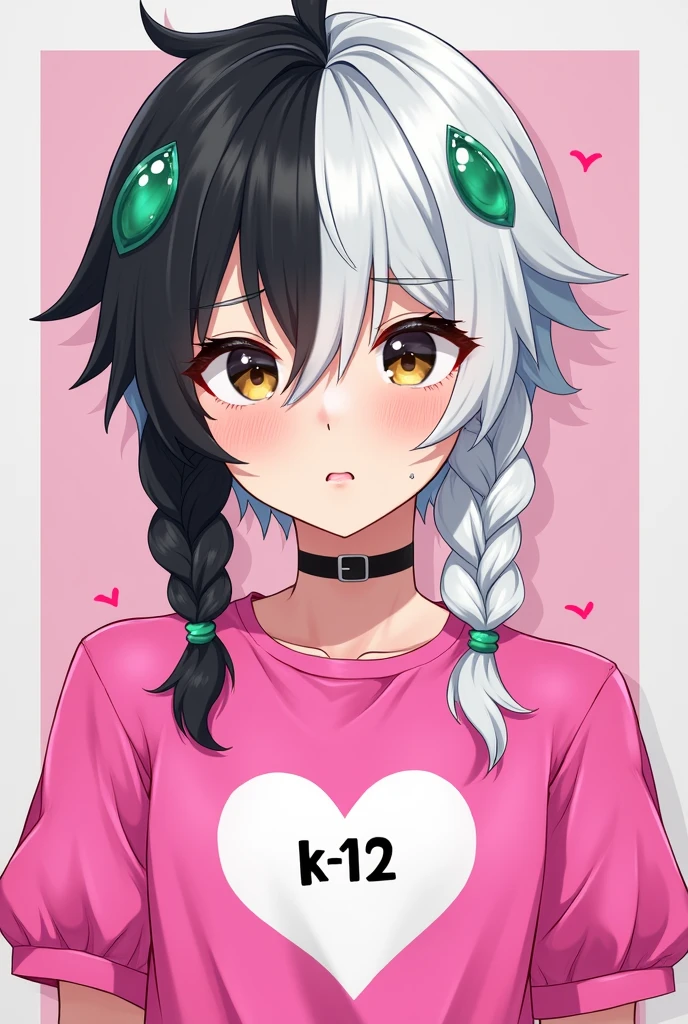 Gender:male Skin:Clear Eyes:Brown Hair:hair parted in the middle with one side black and one side white, in addition a braid on each side with the respective color of the hair side, at the beginning of the braid there is a green-water colored loop Body:high Clothes:a hot pink shirt with light pink puff sleeves and a white heart in the middle of the shirt with the writing "K- 12"