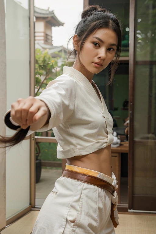 1 girl, solo, looking at viewer, black hair, hair ornament, brown eyes, outdoors, hair bun, lips, realistic, white pants, nose, tatami, sliding doors, martial arts belt, kungfu