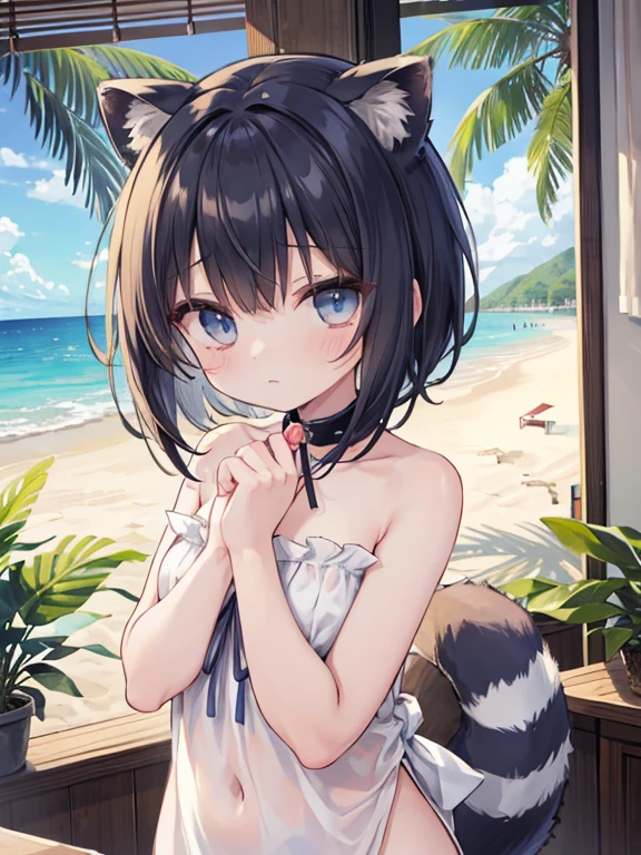 Young looking girl、under teen、Completely naked、Cute pose。 
Appearance、Raccoon ears on head、Layered bob hairstyle、Hair color is navy、Dark blue eyes、Collar with blue ribbon、A raccoon&#39;s tail coming out of his ass、A moderately plump body type、A cute atmosphere。 
The background is a tropical beach resort bedroom、A view of a tropical beach with palm trees from the large window at the back。
Composition that enters the whole body、Moe drawings using pen and watercolor。