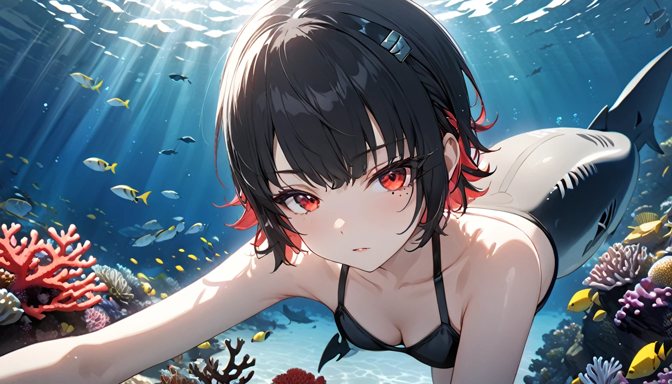 masterpiece，high resolution，Anime Art，Anime Numbers， 4k anime wallpaper，Soft Light，Radiant Skin，Looking at the camera，Solitary，An anime girl，Black short hair，Striped hair，a mole under red eyes，Black swimsuit，Black shark tail，seabed，Coral Reef
