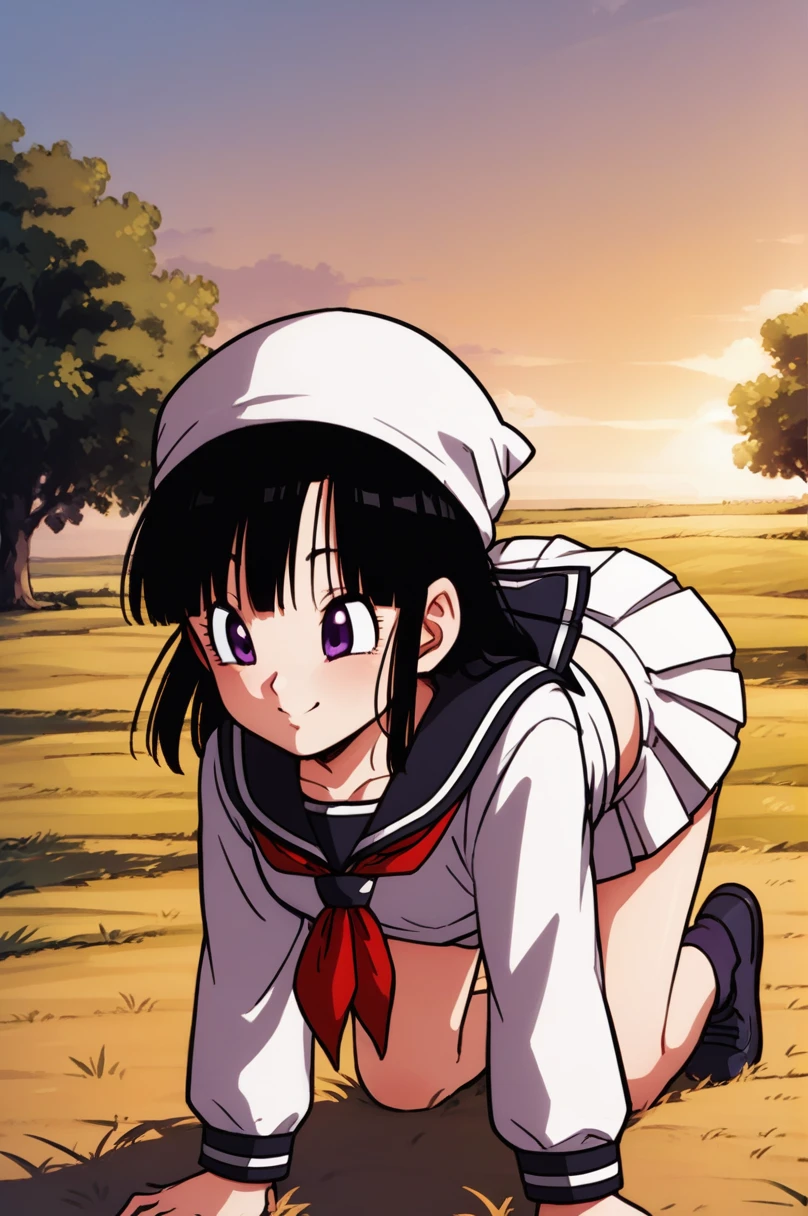 score_9, score_8_up, score_7_up, score_6_up, score_5_up, score_4_up, source_anime, aatomoyo, long hair, black hair, beret, white hat, straight bangs, purple eyes, small breasts, serafuku, white sailor collar, white scarf, black shirt, long sleeves, pleated skirt, white skirt sideways, field, sunset, wind, standing, cowboy shot, from behind, on all fours with her ass up, sexy position,