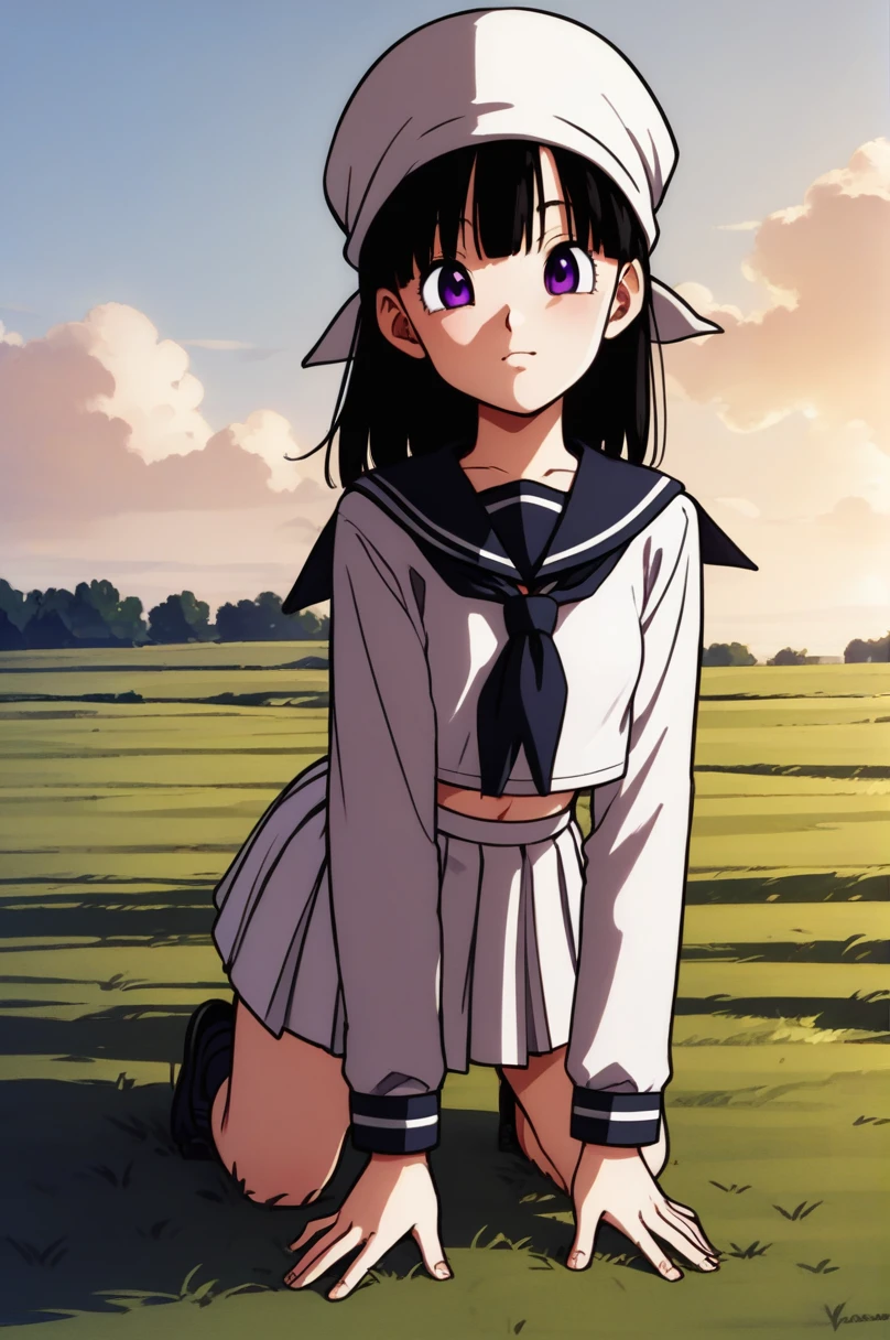 score_9, score_8_up, score_7_up, score_6_up, score_5_up, score_4_up, source_anime, aatomoyo, long hair, black hair, beret, white hat, straight bangs, purple eyes, small breasts, serafuku, white sailor collar, white scarf, black shirt, long sleeves, pleated skirt, white skirt sideways, field, sunset, wind, standing, cowboy shot, from behind, on all fours with her ass up, sexy position,