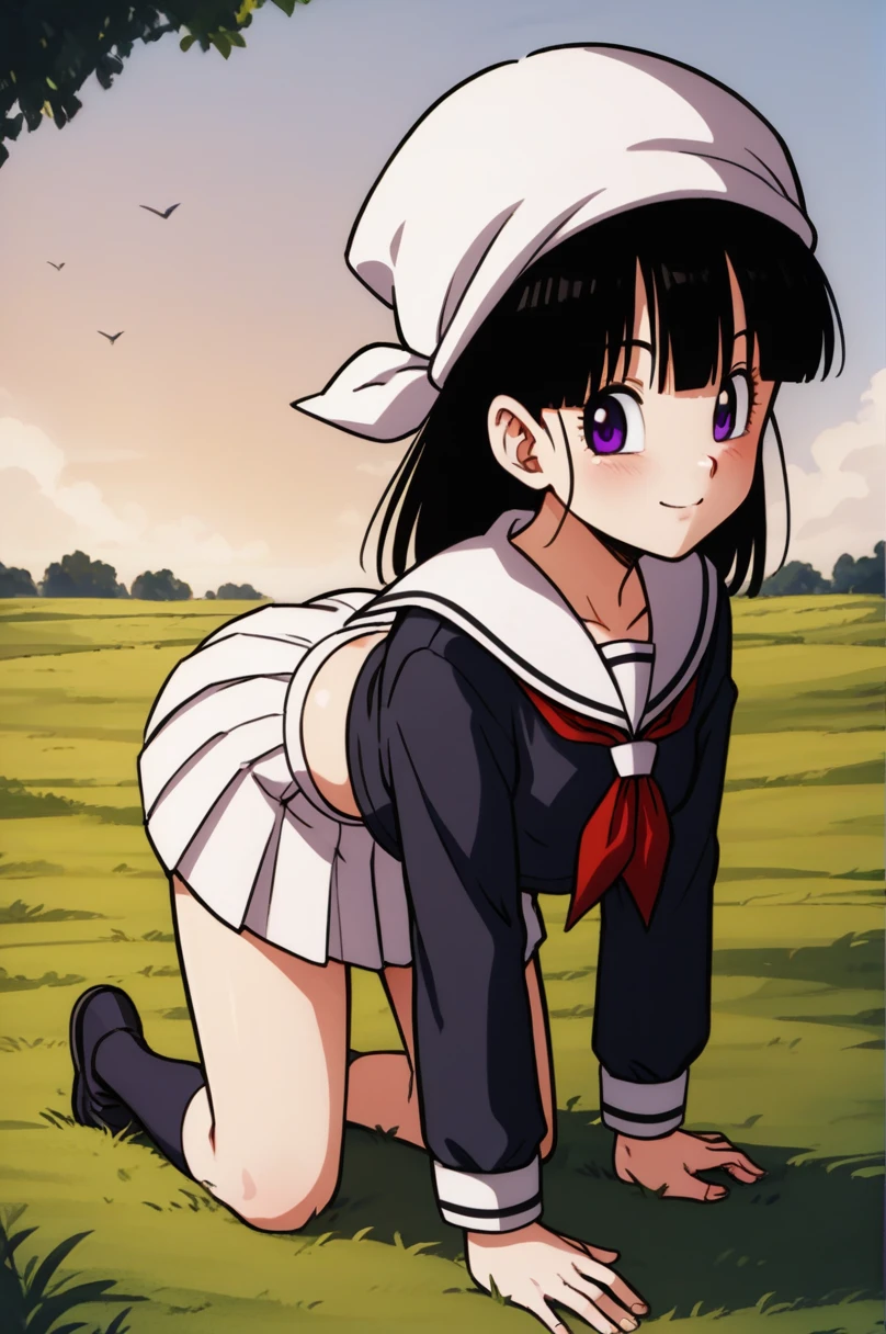 score_9, score_8_up, score_7_up, score_6_up, score_5_up, score_4_up, source_anime, aatomoyo, long hair, black hair, beret, white hat, straight bangs, purple eyes, small breasts, serafuku, white sailor collar, white scarf, black shirt, long sleeves, pleated skirt, white skirt sideways, field, sunset, wind, standing, cowboy shot, from behind, on all fours with her ass up, sexy position,