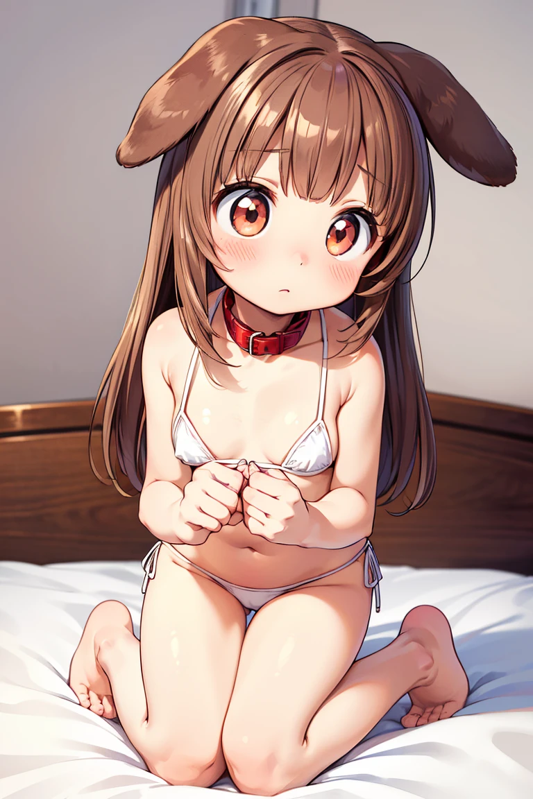 Beautiful illustration, best quality, cute girl, ((In a cute bedroom)), ((Kneeling on bed)), pastel color, natural tones, ((Brown hair)), ((Cute girl)), ((Dog ears)), ((Looking down)), ((Slender body)), ((Red collar)), ((White bikini)), ((Embarrased)), (Blush), bright lighting, ((Big eyes)), ((Perfect hands))