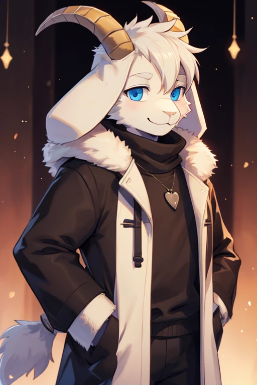 a boy, alone, Asriel, Undertale, smiling, eskimo coat, tall, furry, blue eyes, black blouse, plain brown pants, goat's paws.