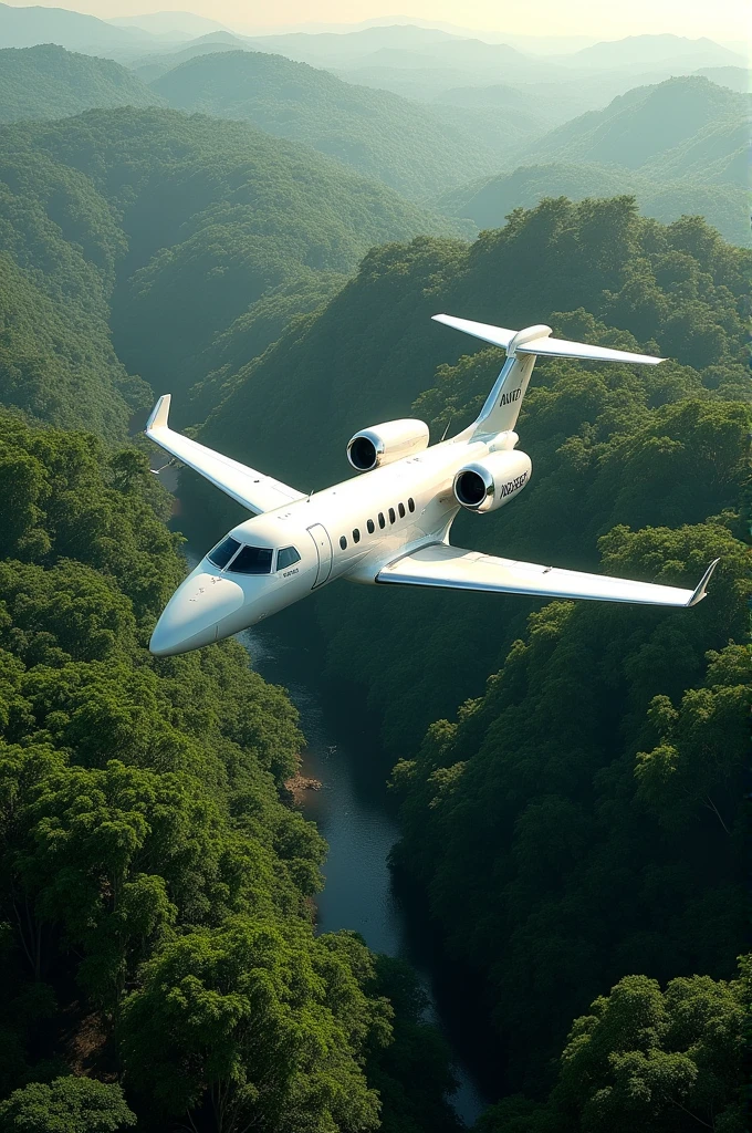 New aeroplane jungle ka photo