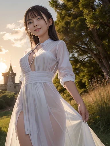 Japanese female, (underweight), (medium bust best quality:1.2), 30 years old, (cheerful grin:1.1),
grassland, (queen), hopeful, standing, semi long, (see through dress), (The lines of your body are visible through your clothes:1.2), with a castle, at sunrise, cowboy shot, ((from below)), sunrise