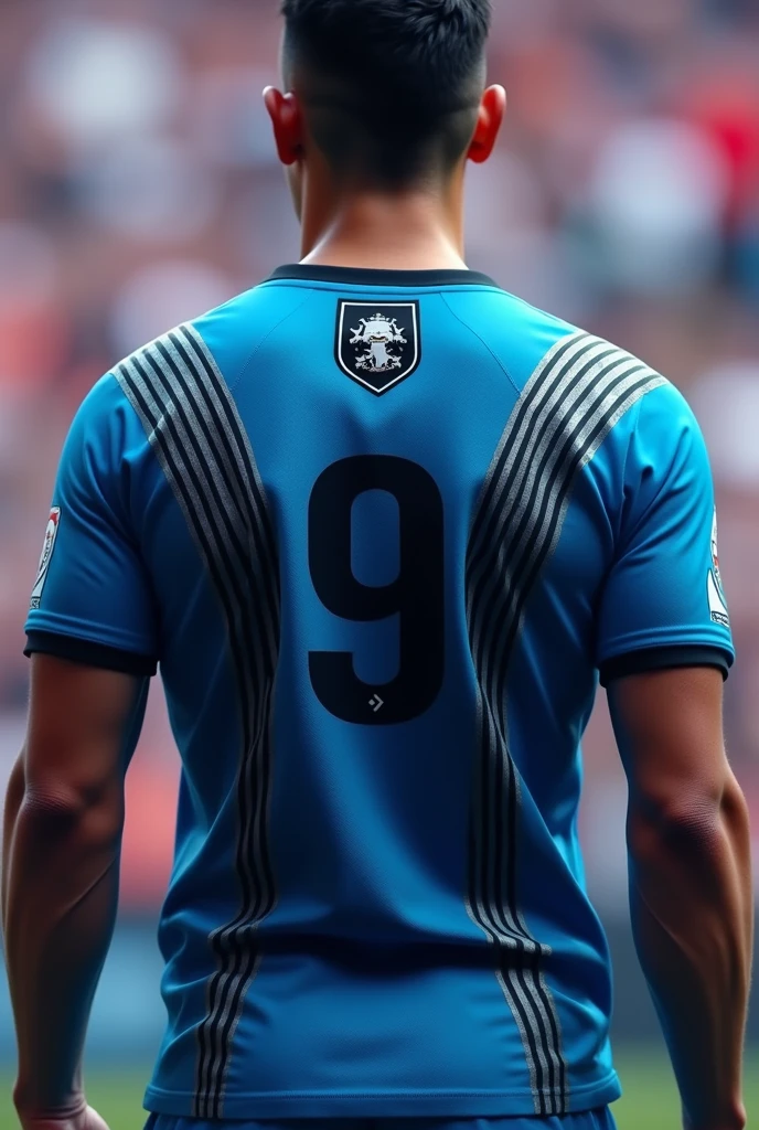 Blue shirt with thick silver lines running across the shirt from top to bottom, name and number on the back in black and shield on the left chest, black shield with 4 upper points and 1 lower point and a cat sitting in the middle.
