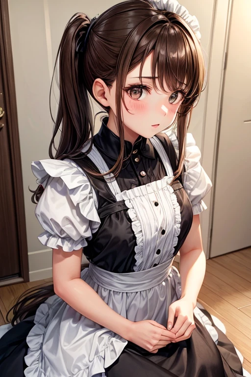 girl, brown hair pulled back into two ponytails, Brown eyes, black maid dress