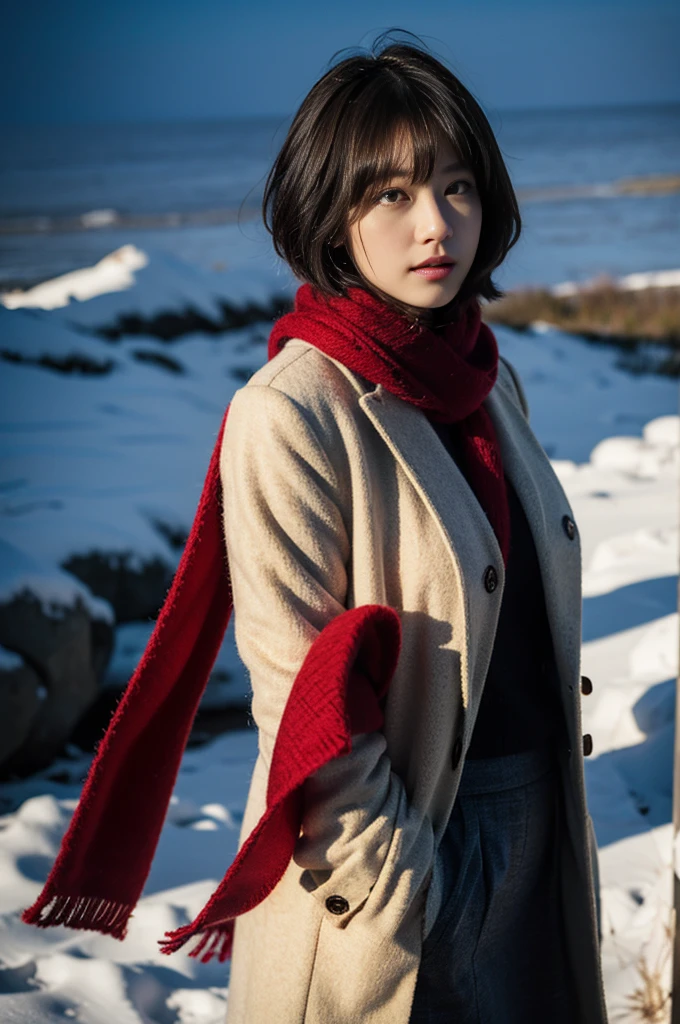 high quality, masterpiece, Ultra-high resolution, (Realistic:1.4), Raw photo, 1, Japanese,Black Hair、Moody tones, Windに揺れる髪、Beautiful woman,cute、20age、Place one hand in front of their chest、whole bodyショット、flare skirt、cold、winter,Snow Scene,Snowfall,White coat,a red checked wool scarf,Detailed depiction of the hand、short hair、Short Hair、whole body、Red check muffler、Natural light、Shadow representation、Face light and dark、Don't look over here、Looking into the distance、Look away、Wind、sense of cleanliness