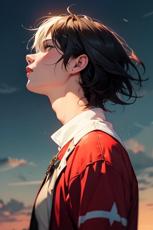 Howl's Moving Castle、A man and a woman have sex、Nude woman with silver bob hair、Naked man with black bob hair、Male genitals are inserted、Red face、