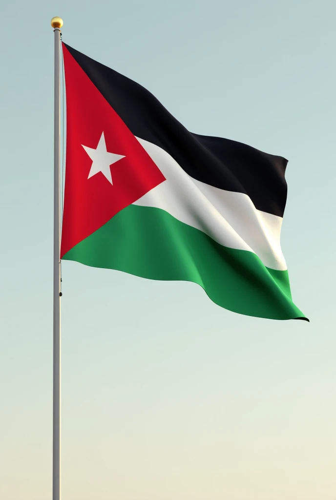 Palastine flag ronadlo