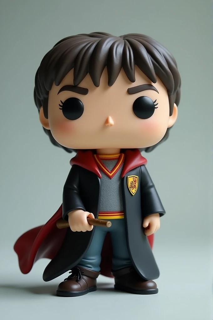 Make the Harry Potter character with your Hogwarts cape Funko Pop version