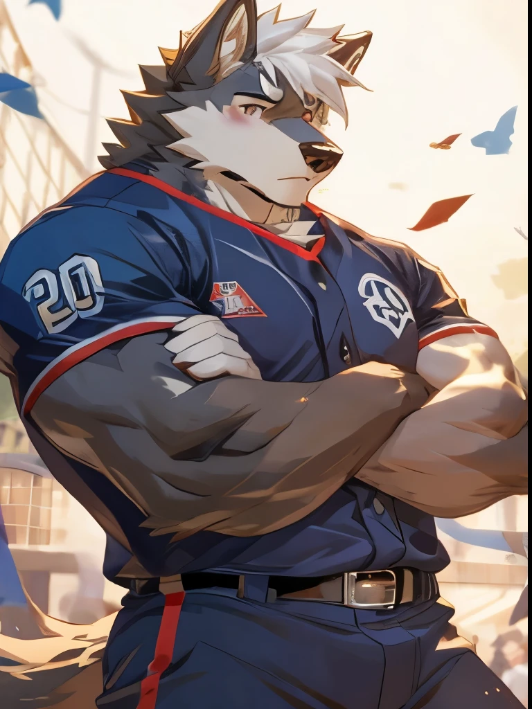 juvenile,Wolf,Furry ears,Brown eyes,Sexy,Baseball in hand,strong,Abdominal muscles,White hair,shy