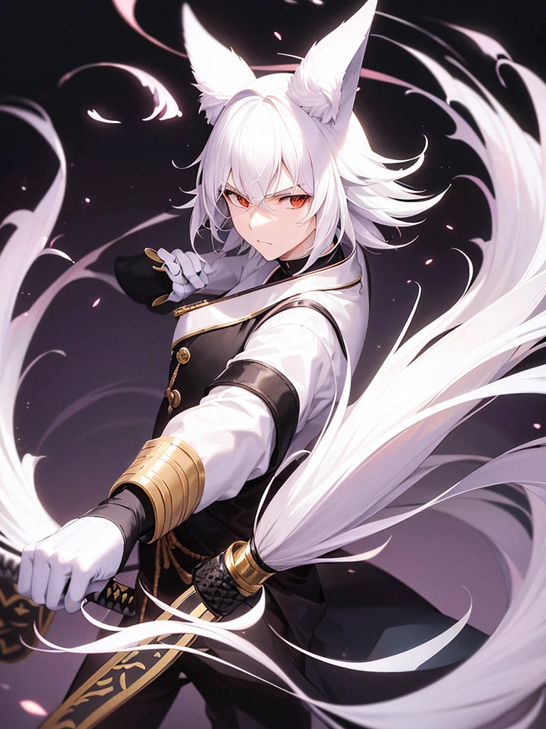 A man, He has a katana, Wear white clothes, He wears a kitsune mask, Her hair is white, His shoes are black, His gloves are black, It has only one fluffy tail, You can&#39;t see his skin, you can&#39;t see his face, Whole body.
