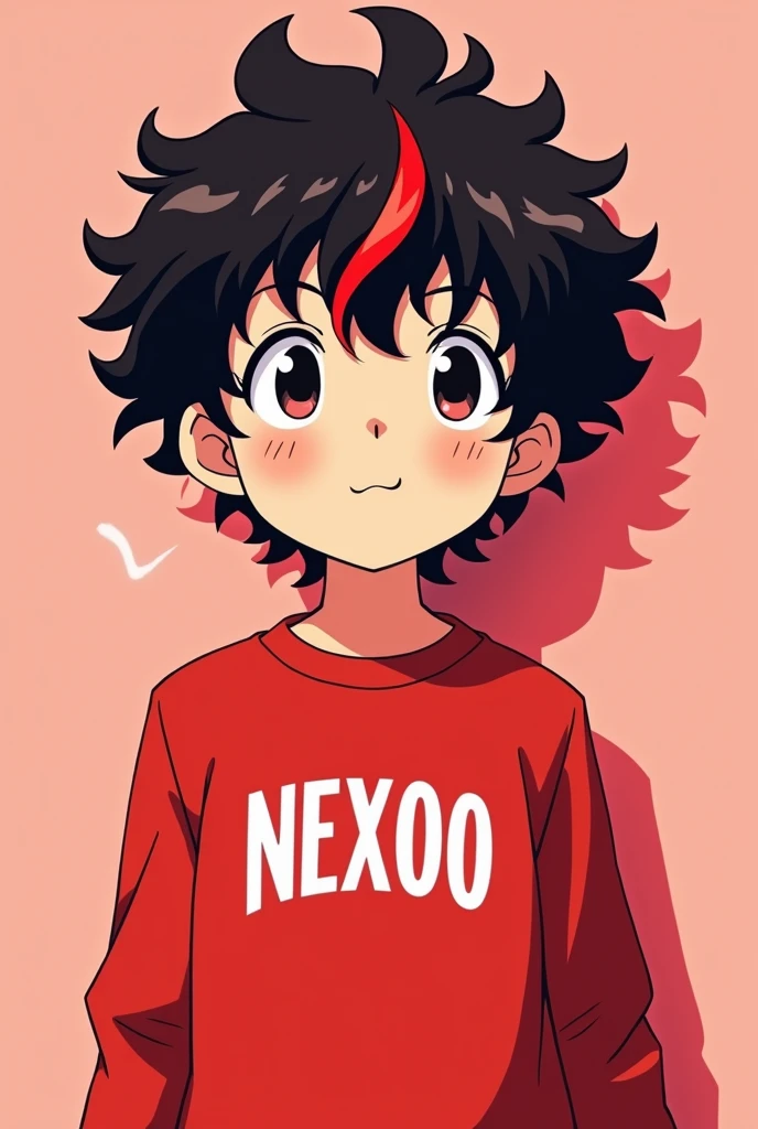 Create pictures of a boy who has curly hair and a red stripe in the front and the design should be like an anime message with a light red background. He also has a red sweater with Nexoo written on it and a red stripe in the front of his curls.