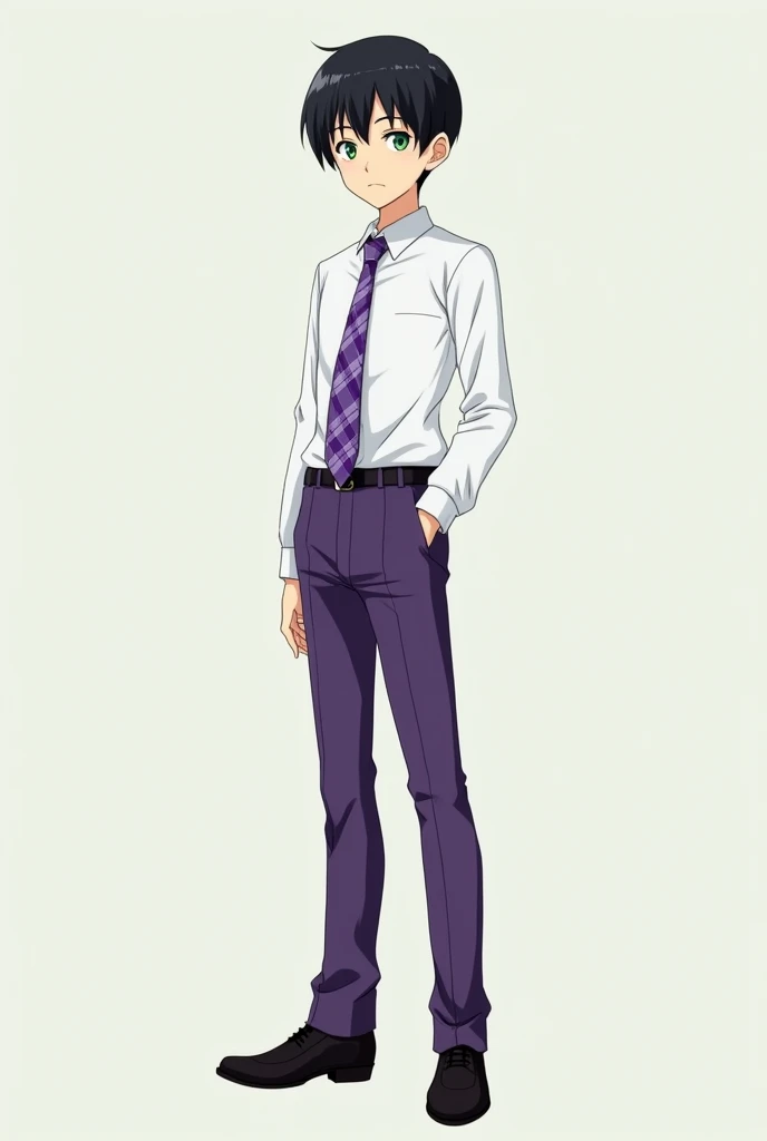 Un lycéen d'anime aux cheveux noirs et très courts, vêtu d'une chemise blanche, d'une cravate violette à carreaux et d'un pantalon violet aussi. Il de taille moyenne, est mince, a les yeux verts. Il se tient droit, de profil, il porte des chaussures de ville noires.