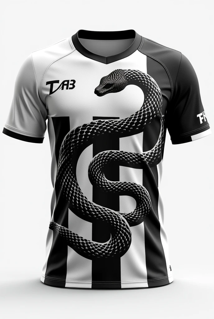 Create an image of an interclass shirt Team name Torra-Torra FC With a snake Color black and white With the symbol of the Ying Yang