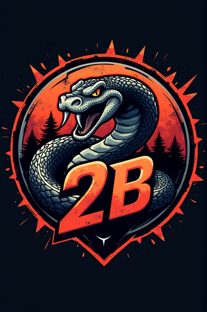 Create a football style logo, with a snake and the writing 2B