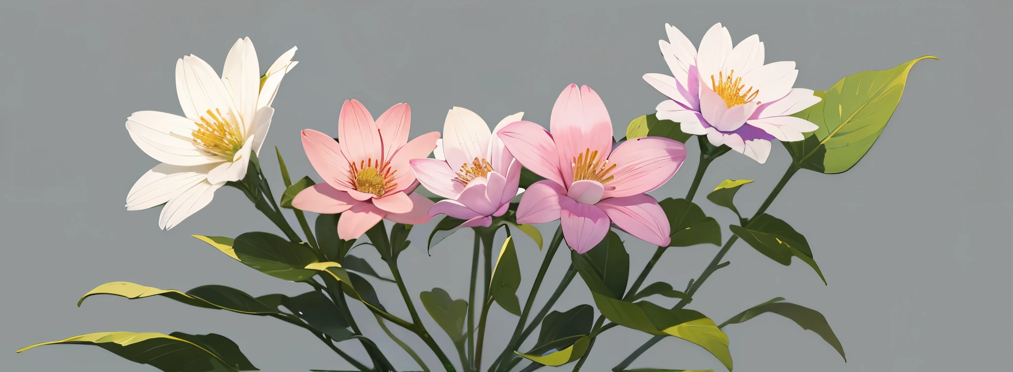 Flower, simple, background