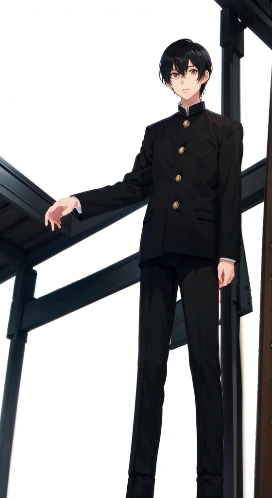1 Short Black Haired Boy, black eyes, 1 Really Tall anime boy figure, Long legs,Gakuran Outfit, black shoes,2D Default Standing, singing 🎤, Friday Night Funkin