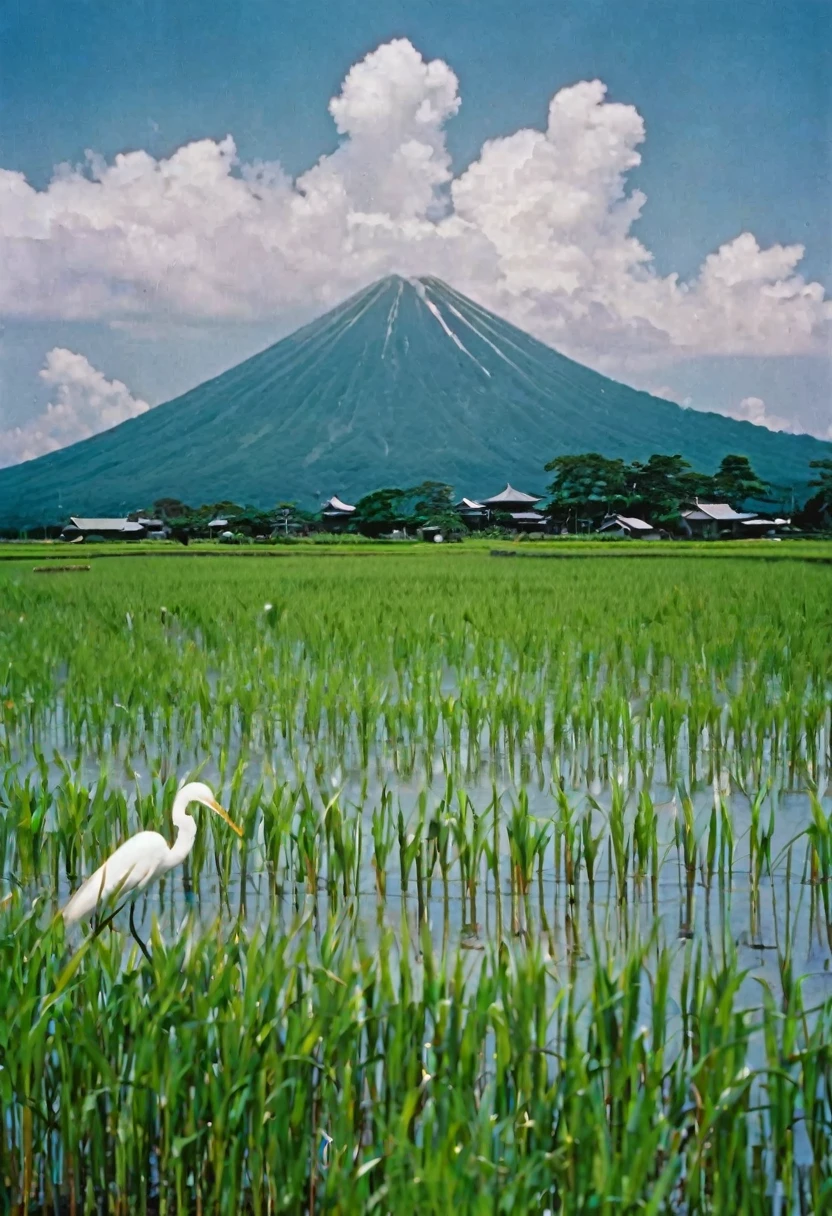 A rural scene in Japan in the 1960s, summer, a white egret stands in a rice field, green rice plants sway in the wind, a refreshing scene, a summer sky spreads out, boys in straw hats can be seen in the distance, the camera focuses on the white egret