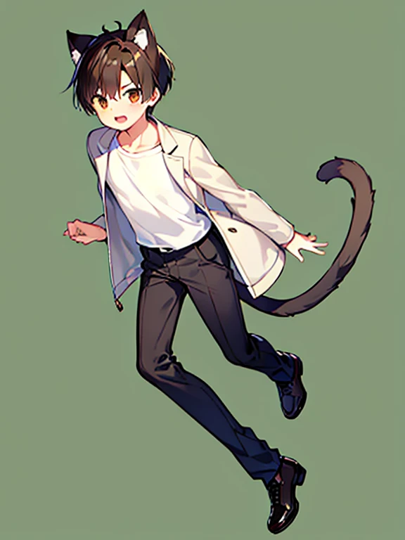 1boy, close mouth, short hair, brown hair, brown eyes, NEKOMIMI, cat tail, white T shirt, gray jacket, black pants, put hands on body, standing, full body, green background, close mouth,