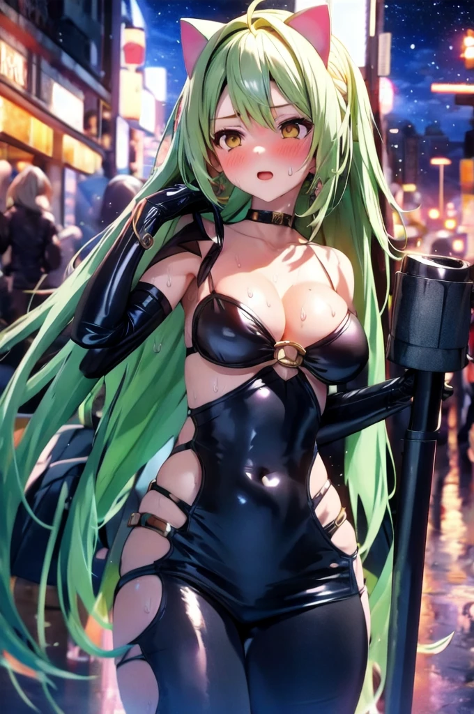 A silver-haired beautiful girl with cat ears eyes are green hair is silver and long clothes: a form-fitting black combat suit The fist is an afterimage The background is a city at night her is in a cat-like fighting pose The year is 14 years monitor, Dark Night, Sweat, Steam of Exhalation, Space, Battle, Dynamic Angle one girl
