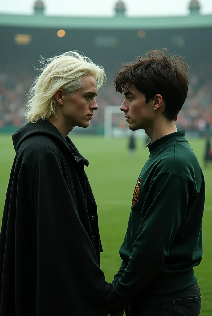 6th year draco malfoy confessing his love to 6th year harry potter at the quidditch