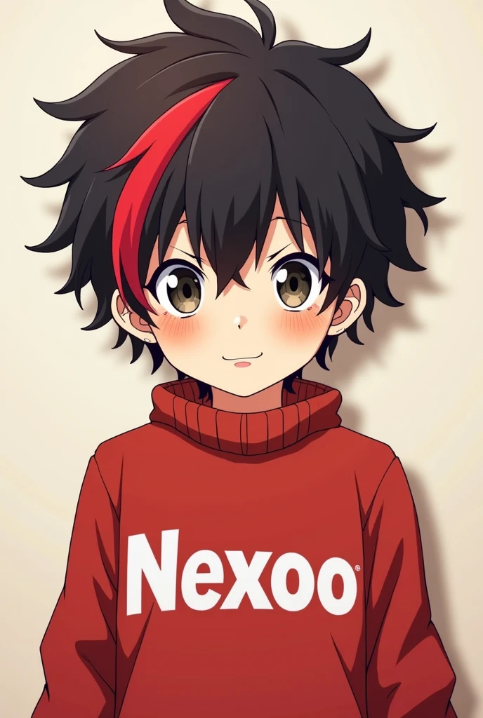Tell me about a boy he has curly hair and a red streak in front and he should look like in an anime he has a red sweater with Nexoo written in white letters