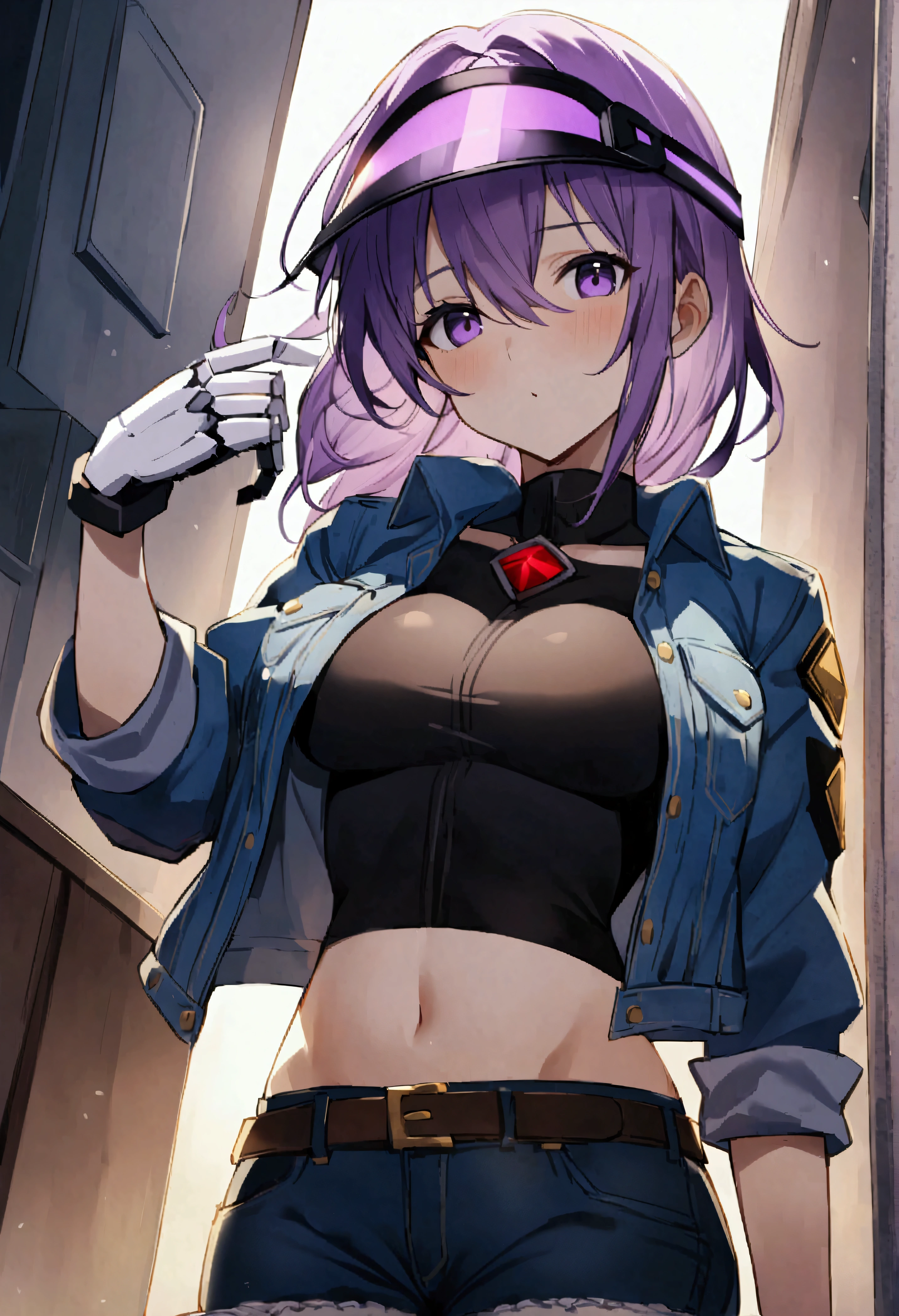 2d、Score 9、Score 8 up、Score 7 up、break、One person、solo、maggot、Purple Hair、Purple Eyes、robot、visor、Denim Jacket<lora:EMS-470427-