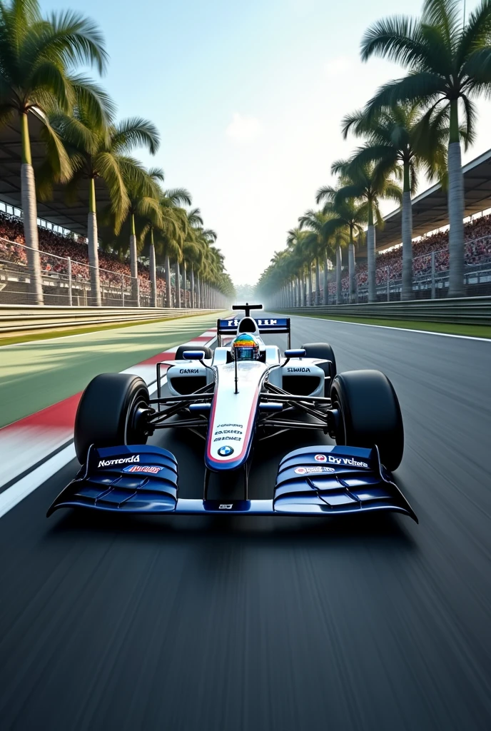 Formula One Sepang BMW
