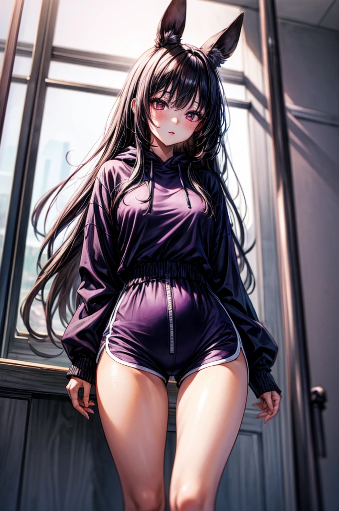 ((Sketch)), ((Watercolor)), ((best quality)), ((masterpiece)), (detailed), 4k image, anime style, beautiful young girl, tanned white skin, sharp facial features, arrogant and disdain expression, oval shaped face, full cherry pink lips, big round velvet colored eyes, C-cup breasts, slender and thin body, full oversized hoodie reaching thighs, dolphin shorts, Sleek dark violet purple-black hair, flowing waist length hair, small narrow waist, full curvy hips, tall height(175cm)