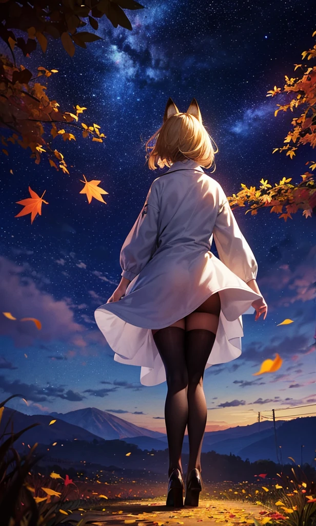 1people々々々々々々々々々,Woman with medium length blonde hair,Fox Ears,Long coat,Takageta, Dress Silhouette, Rear View,Space Sky, Full moon background,Flower Field,Colorful flowers,Dancing Petals,autumn,autumn leaves,