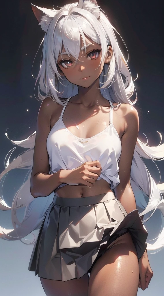 （dark skin,Silver Hair,Fox Girl）,(Perfectly detailed face),(Young) ,(camisole,mini skirt),(((skirt lift))), (((Black underwear))),sweaty,Smirk,High resolution, masterpiece, Highest quality, High resolution