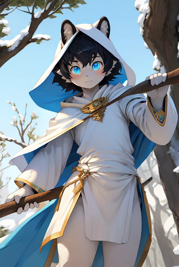 personal, High resolution, Full body image with high detail, high quality, Ultra HD, subjective perspective, snow leopard, boy body shape, Dark black blue very short hair, Ice blue mixed with gold eyes, light blue white fur, White Mage Short Cloak, Dark blue tight lining, Background of the Brave Novice Village