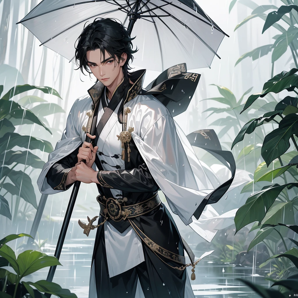 A Handsome black-hair male holding a large sword in black-white ancient chinese costume, close up.
Stand holding an umbrella to protect from the rain. Rain fell and splashed around. There are water droplets falling on the leaves in the surrounding area, green and moist, the atmosphere after rain.