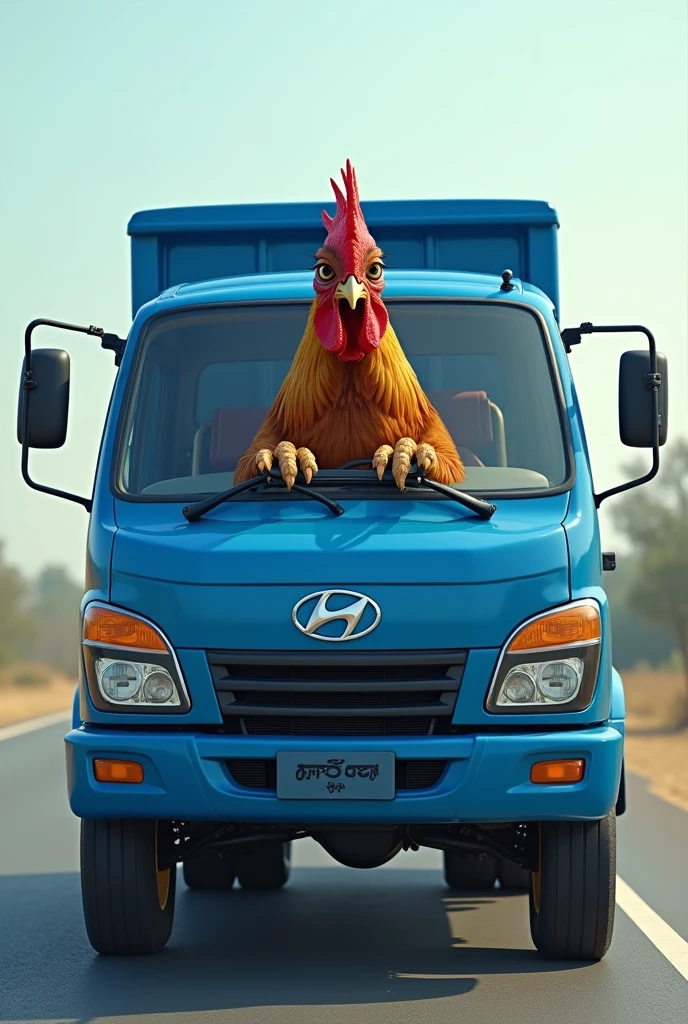 Rooster driving a blue Hyundai Porter double wheel truck