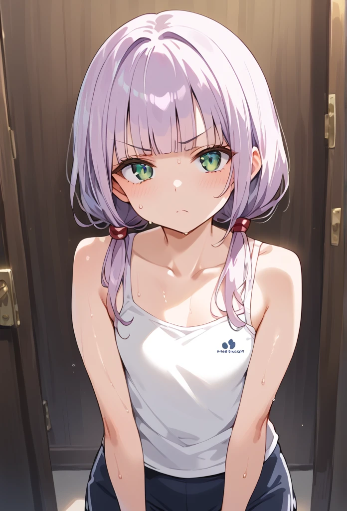score 9, score 8 up, score 7 up,source_anime,masterpiece,beautiful eyes,textile shading, custics,extremely detailed CG, shiny skin,
girl,,cute,(12yo:1.2), pale purple hair, low-twintails,blunt bangs, green eyes,(flat chest:1.3),
(white tank top:1.2), blue trunks,
(sweat:1.6), (serious:1.2), room,solo,standing,(face focus:1.4),angry,