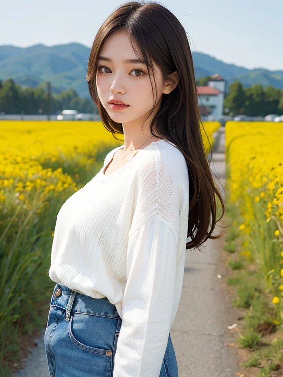 Cosmos field。White sweater。Beautiful woman in denim。