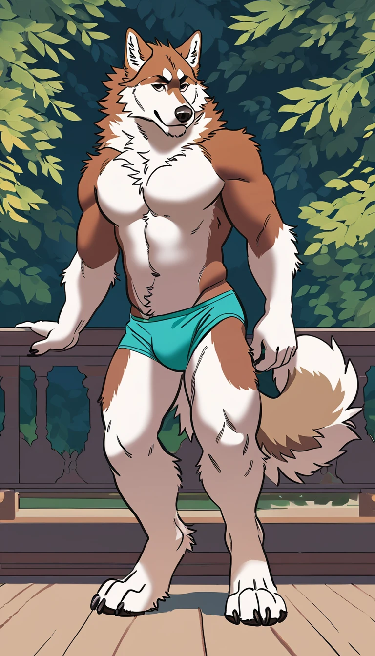 solo, male, anthro (striped husky), by tritscrits, (by botch:0.7), digitigrade, digital artwork, (flat colors:1.3), striped brown husky tail, mature male, sexy, ((detailed background)), athletic, white fur, looking at camera,