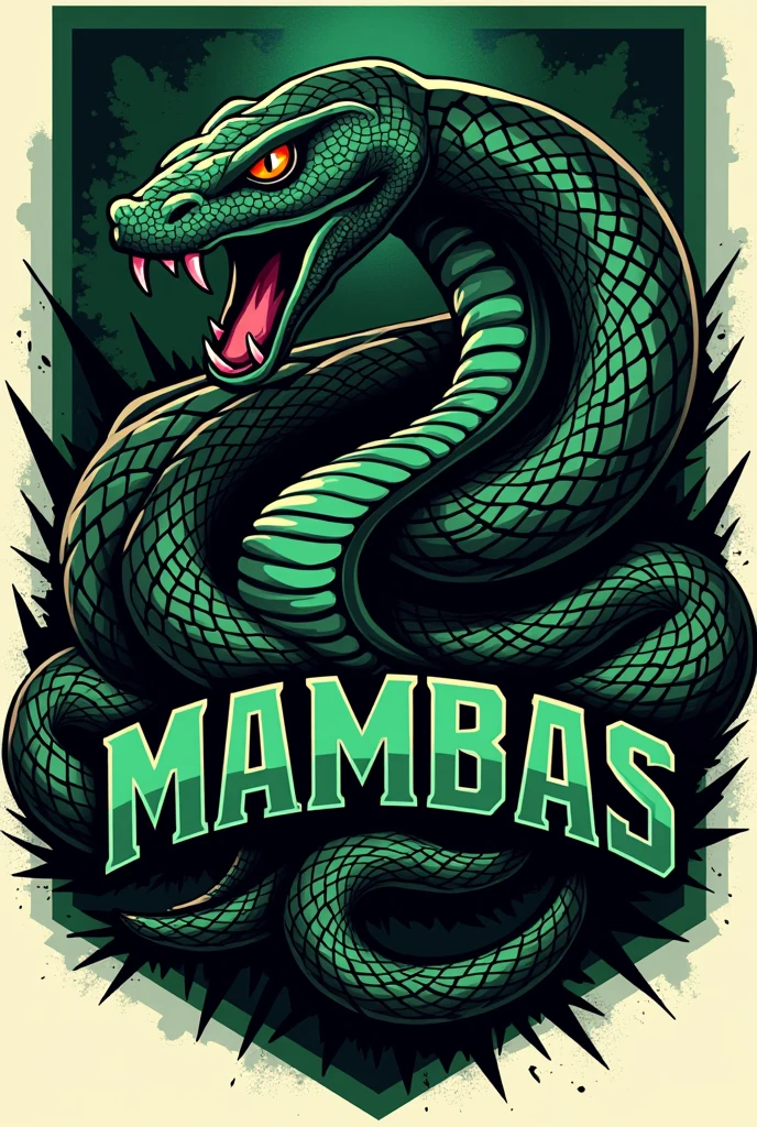 Full logos of the mambas basketball team