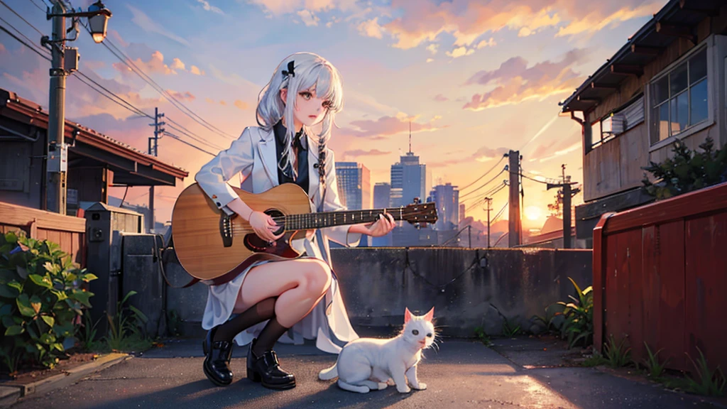 White Cat, Guitar and sunset